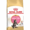 Royal Canin Maine Coon Kitten 4kg