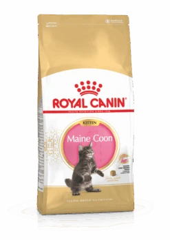 Royal Canin Maine Coon Kitten 4kg