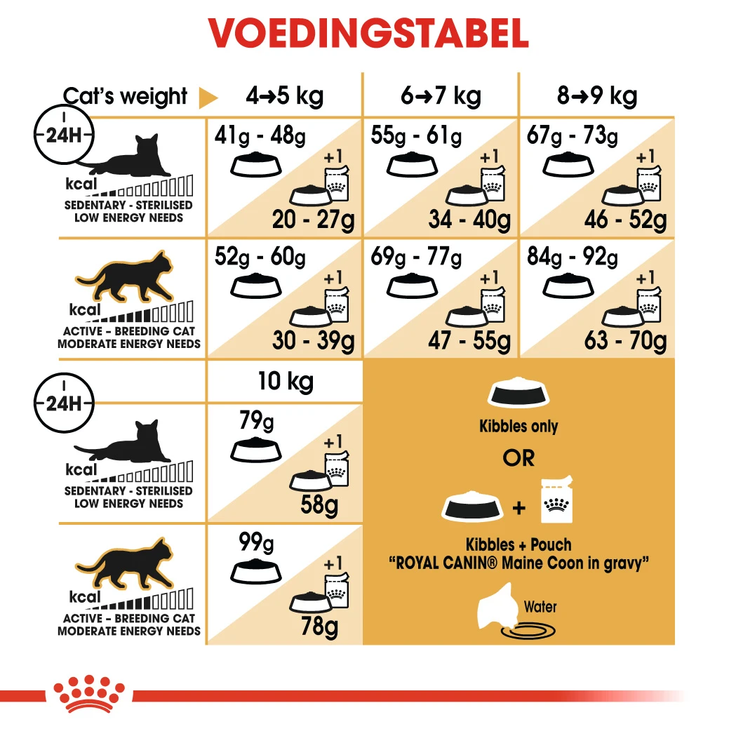 Royal Canin Maine Coon 4kg 3 Royal Canin Maine Coon 4kg - Afbeelding 3