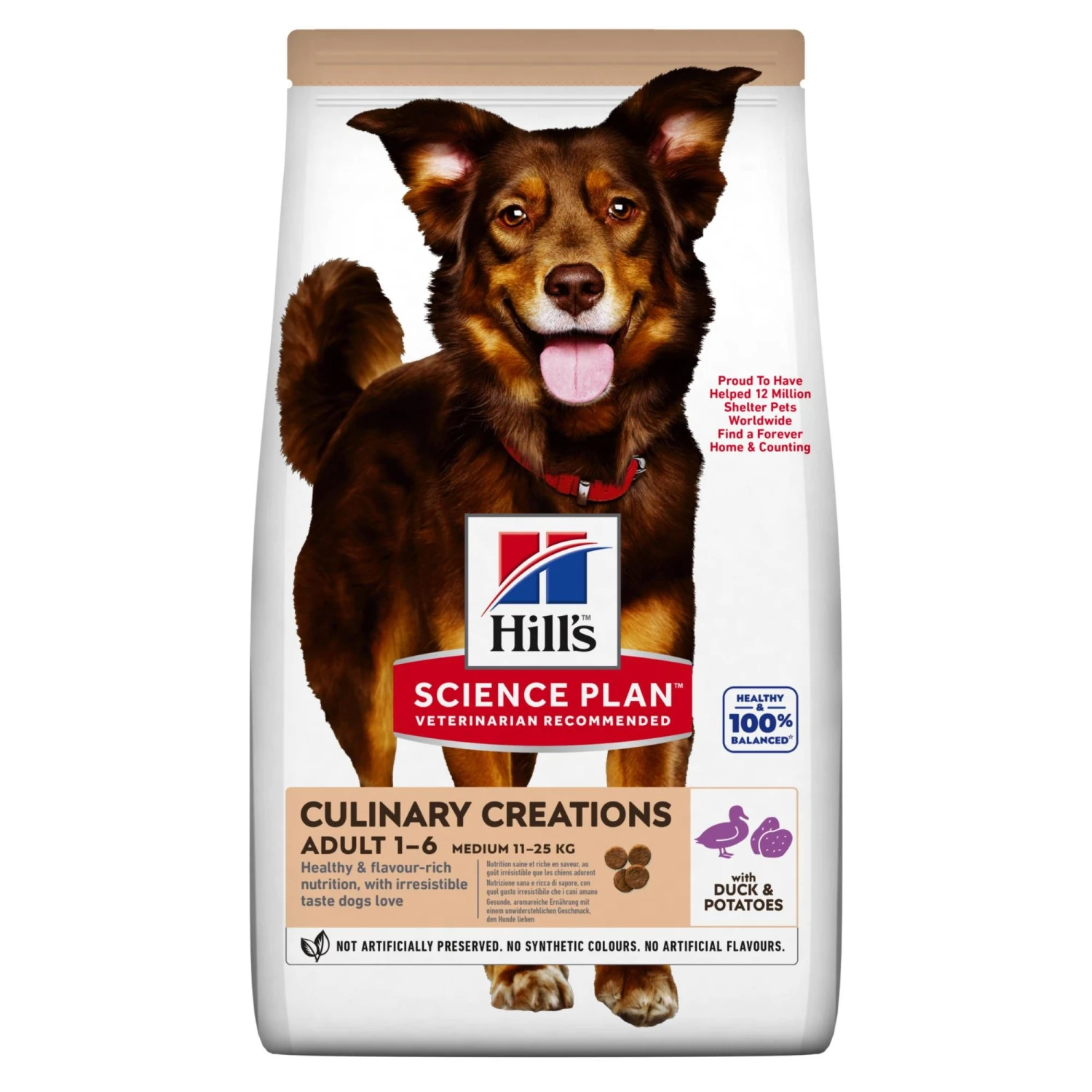 Hill's Science Plan Culinary Creations Eend En Aardappel Medium Hond 14kg 1 Hill's Science Plan Culinary Creations Eend En Aardappel Medium Hond 14kg