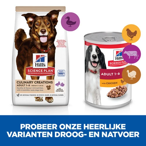 Hill's Science Plan Culinary Creations Eend En Aardappel Medium Hond 14kg 4 Hill's Science Plan Culinary Creations Eend En Aardappel Medium Hond 14kg - Afbeelding 4