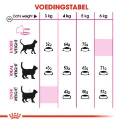 Royal Canin Protein Exigent Kat 4kg 5 Royal Canin Protein Exigent Kat 4kg -Royal Honden Aanbiedingen Winkel 0940f9380e24fd6977e0166039f34726c27c9abe12319f295b4029f84f5c8e3e 1