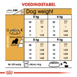 Royal Canin Cavalier King Charles Adult - Hondenvoer - 1,5 Kg -Royal Honden Aanbiedingen Winkel 1593650d1c5b114fbfdd140ac0435d2a71a356c676f8b8f6019d3645d2580729 1