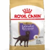 Royal Canin Labrador Retriever Sterilised Adult Hond 12kg