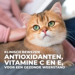Hill's Science Plan Young Adult Sterilised - Tonijn - 3kg -Royal Honden Aanbiedingen Winkel 37098a9fe2951c46acb1b103d375bf1262f294e93049365584c32e594a38a0ea
