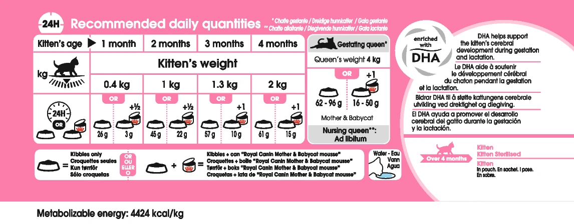 Royal Canin Mother & Babycat Kat 4kg 3 Royal Canin Mother & Babycat Kat 4kg - Afbeelding 3