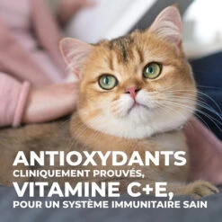 Hill's Science Plan Young Adult Sterilised - Tonijn - 3kg -Royal Honden Aanbiedingen Winkel 3b73322466d898b24006c18ff33ab804bfefa72083639901175012c872fc160b