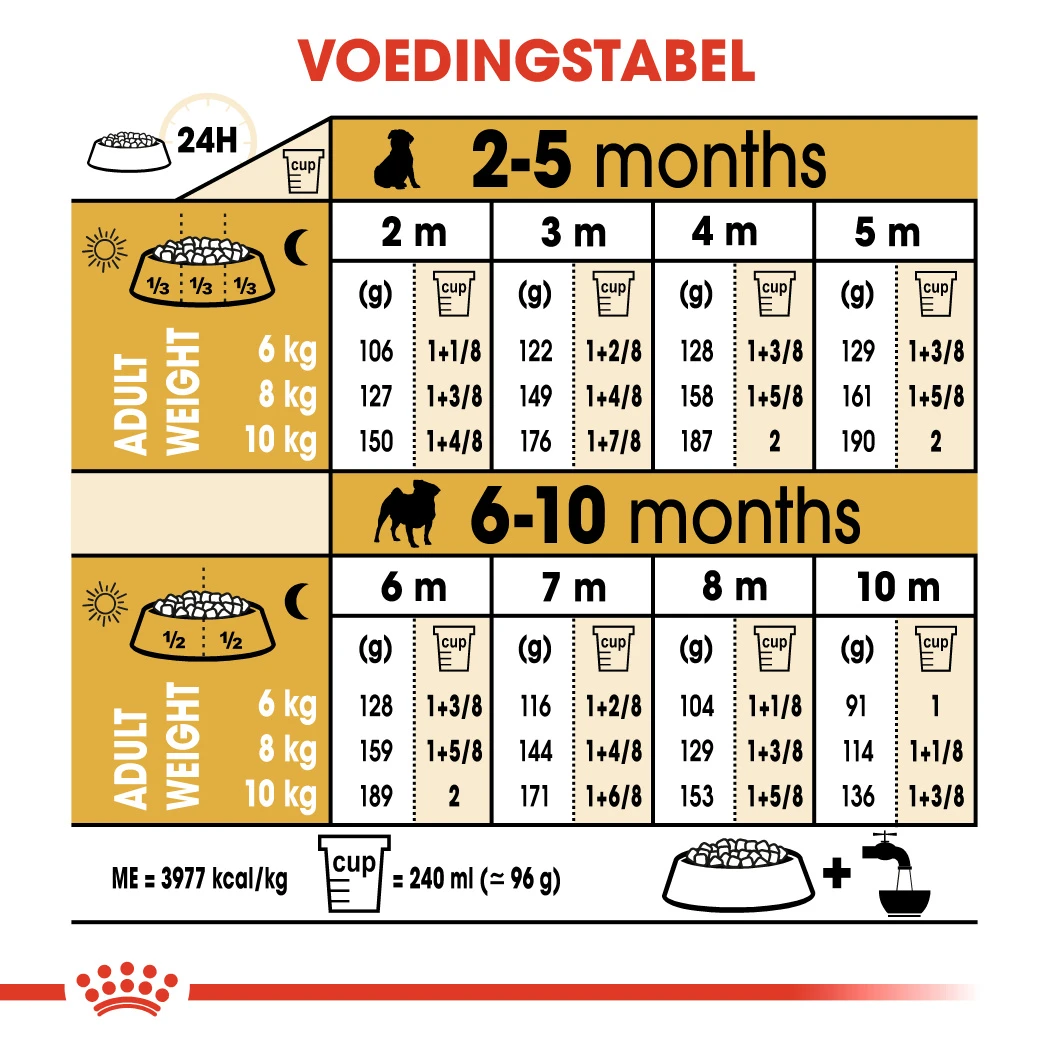 Royal Canin Pug/Mopshond Puppy - Hondenvoer - 1,5kg 2 Royal Canin Pug/Mopshond Puppy - Hondenvoer - 1,5kg - Afbeelding 2