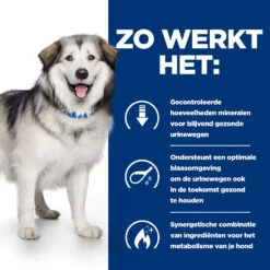 Hill's Prescription Diet C/d Multicare + Metabolic, Urinary + Weight Care Hondenvoer 1.5kg Zak 9 Hill's Prescription Diet C/d Multicare + Metabolic, Urinary + Weight Care Hondenvoer 1.5kg Zak -Royal Honden Aanbiedingen Winkel 52742037394 2 NL