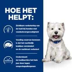 Hill's Prescription Diet Derm Complete Mini Environmental/food Sensitivities Hondenvoer Met Rijst & Ei 1kg 10 Hill's Prescription Diet Derm Complete Mini Environmental/food Sensitivities Hondenvoer Met Rijst & Ei 1kg -Royal Honden Aanbiedingen Winkel 52742038797 3 NL