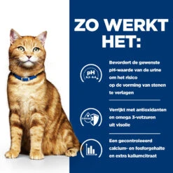 Hill's Hill’s Prescription Diet C/D – Kattenvoer Met Kip – 1,5kg 9 Hill's Hill’s Prescription Diet C/D – Kattenvoer Met Kip – 1,5kg -Royal Honden Aanbiedingen Winkel 52742042121 2 NL