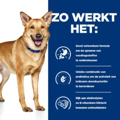 Hill's Prescription Diet I/d Digestive Care Hondenvoer Met Kip 16kg 9 Hill's Prescription Diet I/d Digestive Care Hondenvoer Met Kip 16kg -Royal Honden Aanbiedingen Winkel 52742043166 2 NL 2