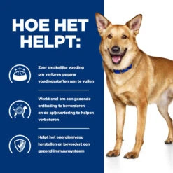 Hill's Prescription Diet I/d Digestive Care Hondenvoer Met Kip 16kg 10 Hill's Prescription Diet I/d Digestive Care Hondenvoer Met Kip 16kg -Royal Honden Aanbiedingen Winkel 52742043166 3 NL 2