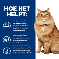 Hill's Prescription Diet K/d + Mobility Kattenvoer Met Kip 1.5kg 10 Hill's Prescription Diet K/d + Mobility Kattenvoer Met Kip 1.5kg -Royal Honden Aanbiedingen Winkel 52742044767 3 NL