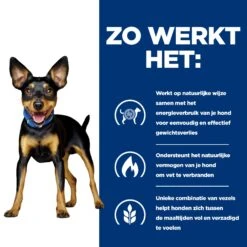 Hill's Prescription Diet Metabolic Kip- En Groentenstoofpotje Voor Hond 24x156g 9 Hill's Prescription Diet Metabolic Kip- En Groentenstoofpotje Voor Hond 24x156g -Royal Honden Aanbiedingen Winkel 52742047331 2 NL