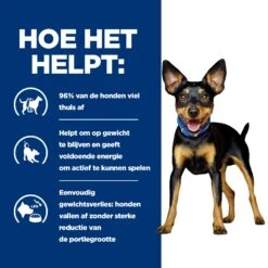 Hill's Prescription Diet Metabolic Kip- En Groentenstoofpotje Voor Hond 24x156g 10 Hill's Prescription Diet Metabolic Kip- En Groentenstoofpotje Voor Hond 24x156g -Royal Honden Aanbiedingen Winkel 52742047331 3 NL