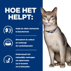 Hill's Hill’s Prescription Diet K/D – Kattenvoer Met Kip – Maaltijdzakjes 12x85g 10 Hill's Hill’s Prescription Diet K/D – Kattenvoer Met Kip – Maaltijdzakjes 12x85g -Royal Honden Aanbiedingen Winkel 52742118710 3 NL