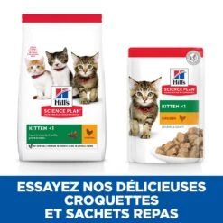 Hill's Hill’s Kitten Classic Selection Multipack Kip 12x85g -Royal Honden Aanbiedingen Winkel 52742211503 4 science plan chaton sachet repas pack mixte poulet poisson