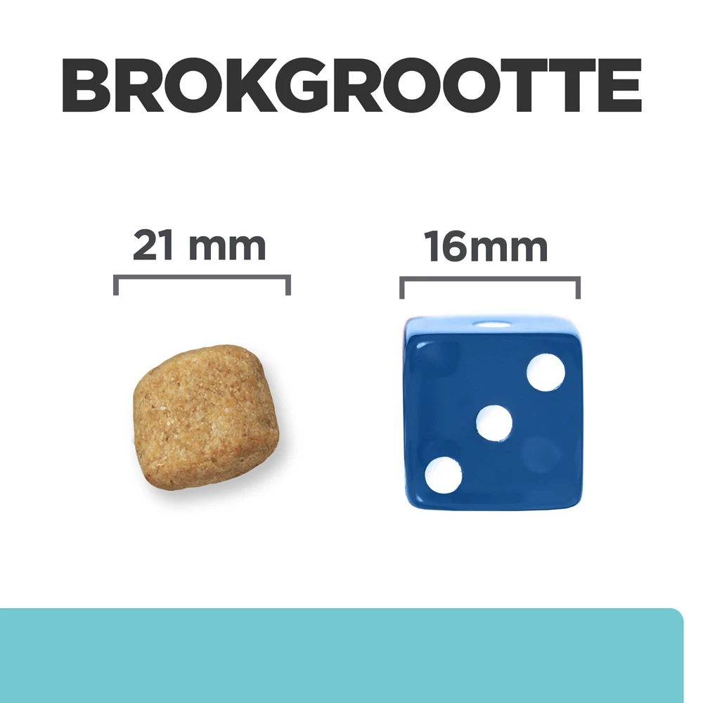 Hill's Hill’s Prescription Diet T/D Mini – Hondenvoer Met Kip – 3kg 5 Hill's Hill’s Prescription Diet T/D Mini – Hondenvoer Met Kip – 3kg - Afbeelding 5