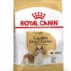 Royal Canin Cavalier King Charles Adult - Hondenvoer - 1,5 Kg