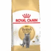 Royal Canin British Shorthair 10kg