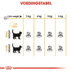 Royal Canin Hair & Skin Care Kattenvoer 4kg 23 Royal Canin Hair & Skin Care Kattenvoer 4kg -Royal Honden Aanbiedingen Winkel 6cd71a60ba99f8570764bedbf54b2943681113398a4dc2074f443d0e11a6fff9 1