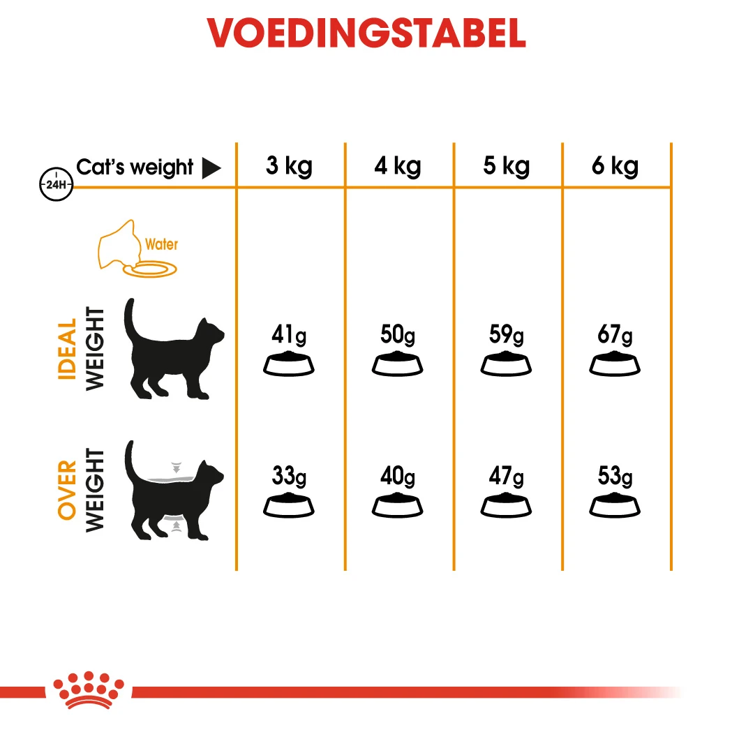 Royal Canin Hair & Skin Care Kattenvoer 4kg 12 Royal Canin Hair & Skin Care Kattenvoer 4kg - Afbeelding 12