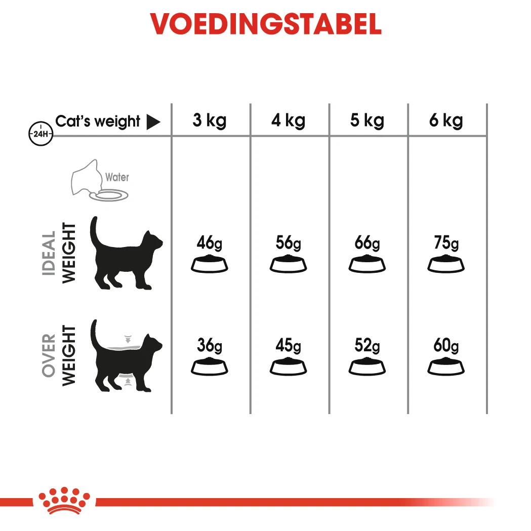 Royal Canin Dental Care Kattenvoer 1,5kg 11 Royal Canin Dental Care Kattenvoer 1,5kg - Afbeelding 11