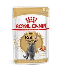 Royal Canin British Shorthair Adult Natvoer Kat 12x 85g