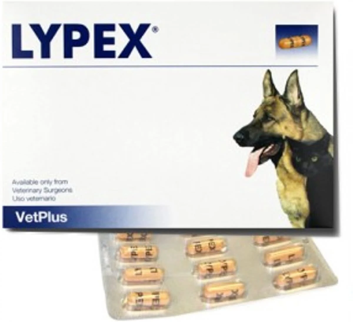 Lypex Hond-kat Caps 60 1 Lypex Hond-kat Caps 60