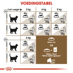 Royal Canin Ageing 12+ Kattenvoer 2kg -Royal Honden Aanbiedingen Winkel 9ceb39e837ba7480077b21230bc47074a9280873228e651612153a1f21d0b998 1
