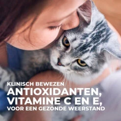 Hill's Science Plan Kitten Perfect Digestion Met Kip En Bruine Rijst Kattenvoer 10kg -Royal Honden Aanbiedingen Winkel Hills Science Plan Kitten Perfect Digestion 6 NL
