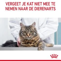 Royal Canin Appetite Control Kattenvoer 2kg -Royal Honden Aanbiedingen Winkel Royal Canin Appetite Control Care Kat NL 11