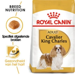 Nieuwkomers -Royal Honden Aanbiedingen Winkel Royal Canin Cavalier King Charles NL 1