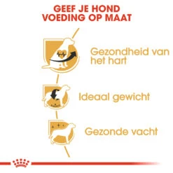 Royal Canin Cavalier King Charles Adult Hondenvoer 3kg 10 Royal Canin Cavalier King Charles Adult Hondenvoer 3kg -Royal Honden Aanbiedingen Winkel Royal Canin Cavalier King Charles NL 5