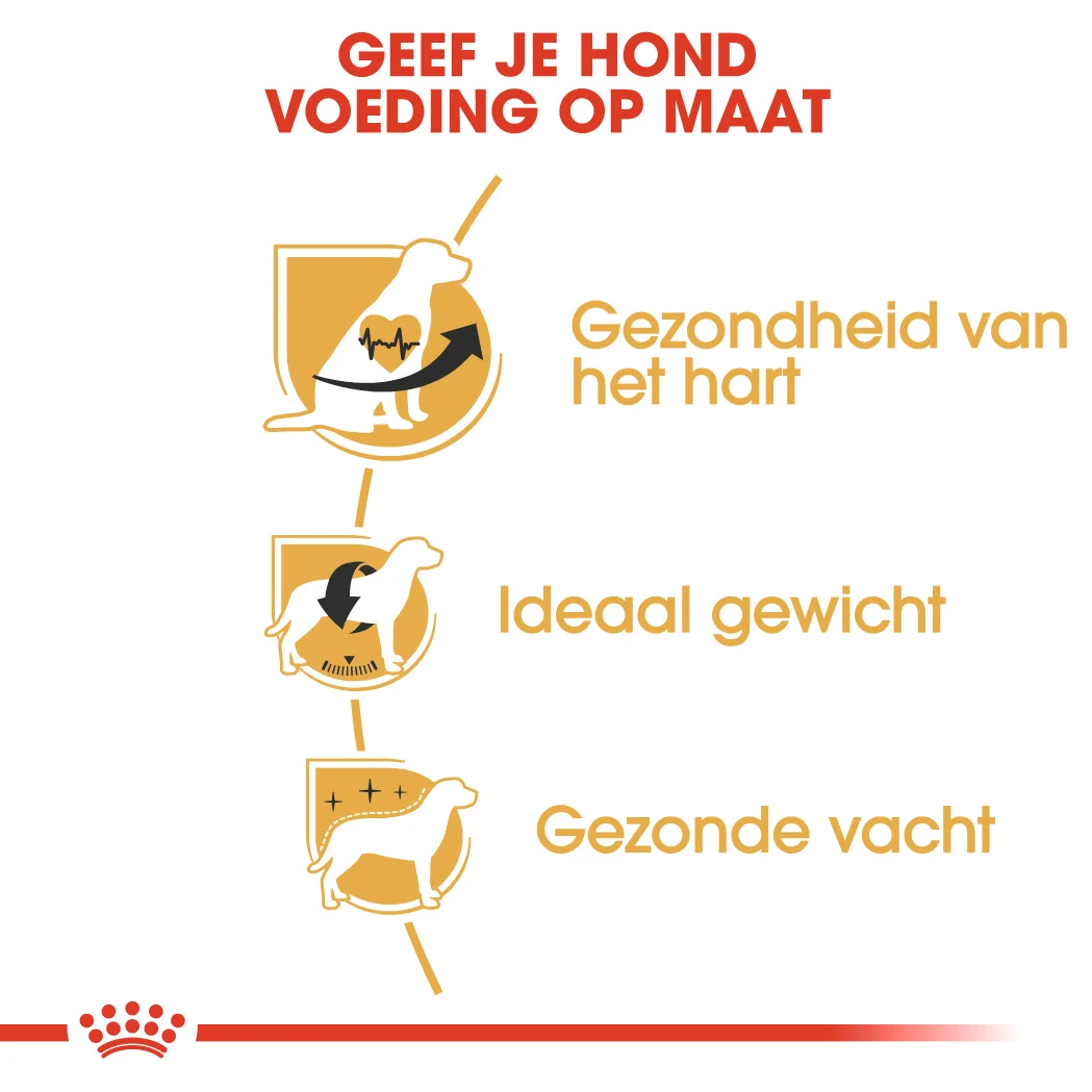 Royal Canin Cavalier King Charles Adult Hondenvoer 3kg 5 Royal Canin Cavalier King Charles Adult Hondenvoer 3kg - Afbeelding 5