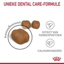 Royal Canin Dental Care Kattenvoer 1,5kg 14 Royal Canin Dental Care Kattenvoer 1,5kg -Royal Honden Aanbiedingen Winkel Royal Canin Dental Care Kat NL 04