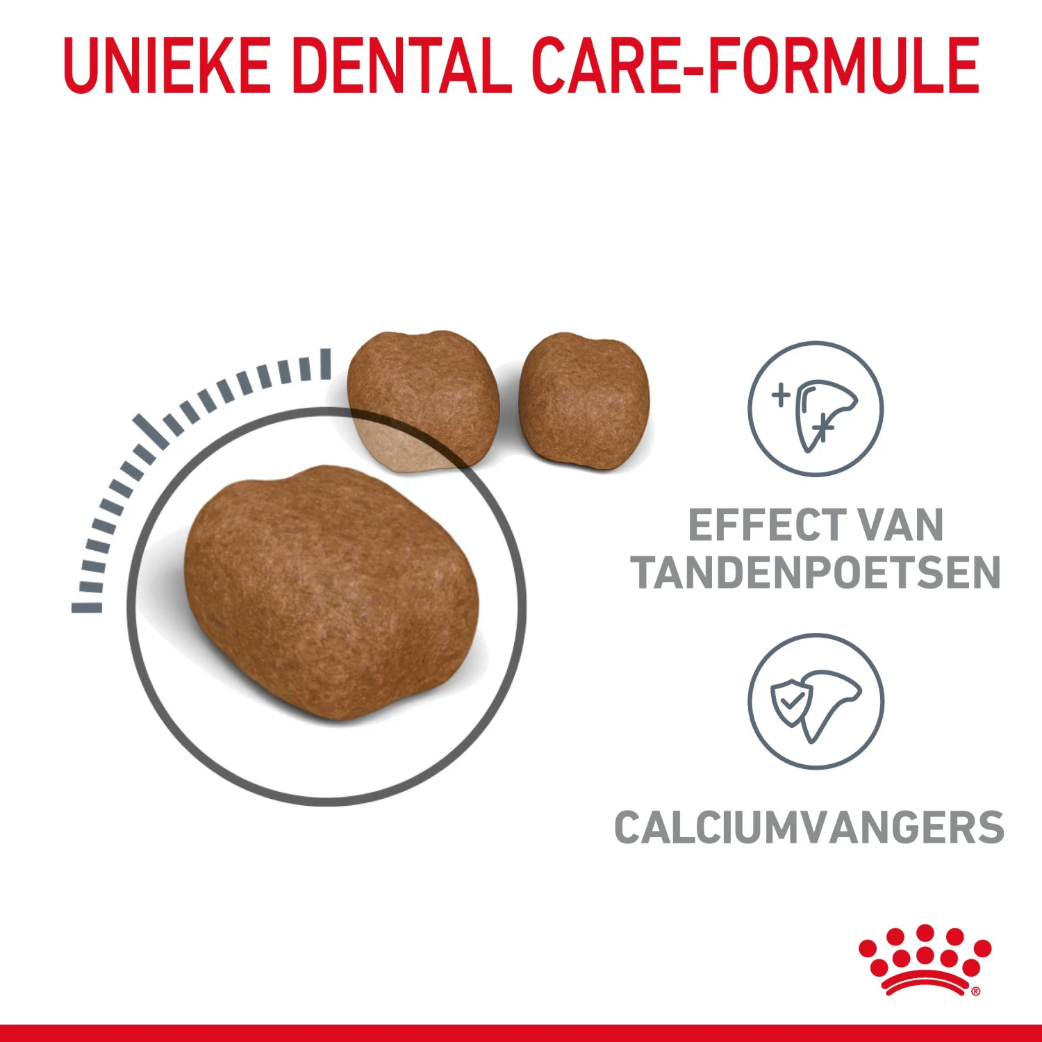 Royal Canin Dental Care Kattenvoer 1,5kg 4 Royal Canin Dental Care Kattenvoer 1,5kg - Afbeelding 4