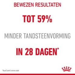 Royal Canin Dental Care Kattenvoer 1,5kg 15 Royal Canin Dental Care Kattenvoer 1,5kg -Royal Honden Aanbiedingen Winkel Royal Canin Dental Care Kat NL 05