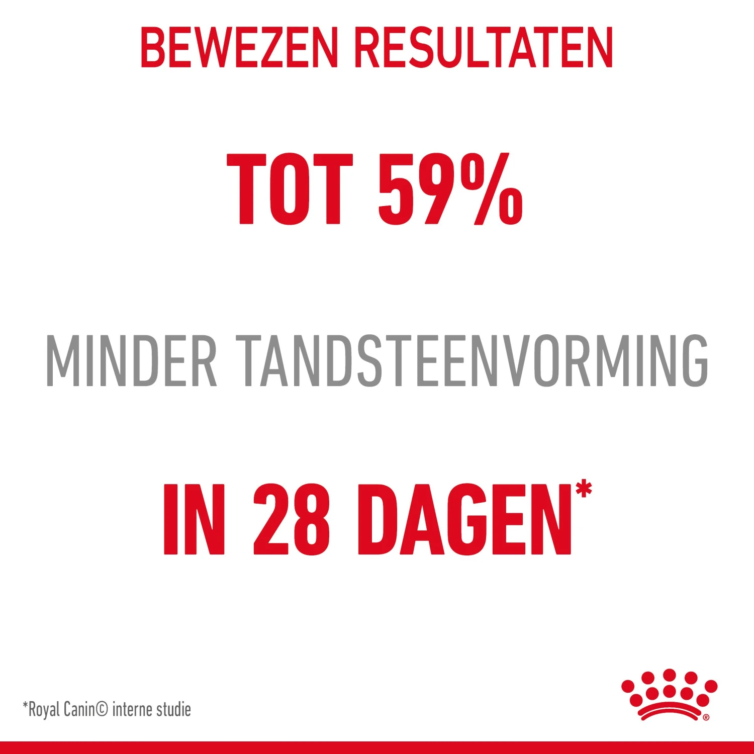 Royal Canin Dental Care Kattenvoer 1,5kg 5 Royal Canin Dental Care Kattenvoer 1,5kg - Afbeelding 5