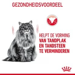 Royal Canin Dental Care Kattenvoer 1,5kg 16 Royal Canin Dental Care Kattenvoer 1,5kg -Royal Honden Aanbiedingen Winkel Royal Canin Dental Care Kat NL 06