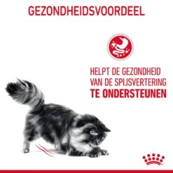 Royal Canin Digestive Care Kattenvoer 4kg -Royal Honden Aanbiedingen Winkel Royal Canin Digestive Care Kat NL 07 1