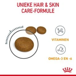 Royal Canin Hair & Skin Care Kattenvoer 4kg 16 Royal Canin Hair & Skin Care Kattenvoer 4kg -Royal Honden Aanbiedingen Winkel Royal Canin Hair Skin Care Kat NL 05 1