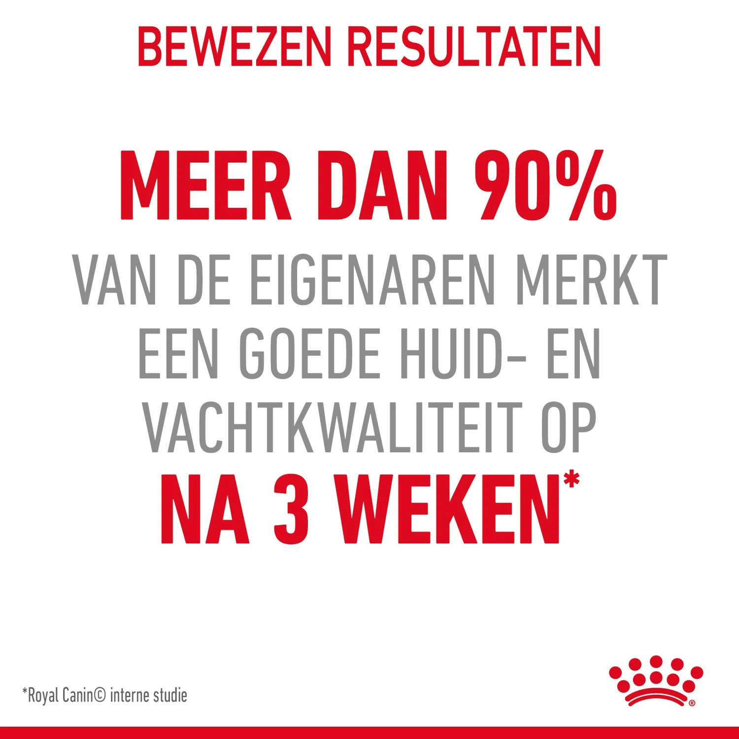 Royal Canin Hair & Skin Care Kattenvoer 10kg 6 Royal Canin Hair & Skin Care Kattenvoer 10kg - Afbeelding 6