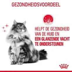 Royal Canin Hair & Skin Care Kattenvoer 10kg 18 Royal Canin Hair & Skin Care Kattenvoer 10kg -Royal Honden Aanbiedingen Winkel Royal Canin Hair Skin Care Kat NL 07