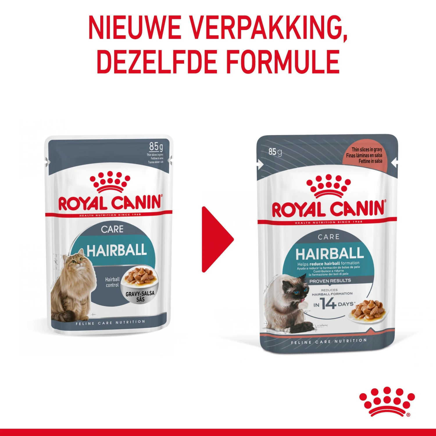 Royal Canin Hairball Care Natvoer In Gravy Kattenvoer 12x85g 4 Royal Canin Hairball Care Natvoer In Gravy Kattenvoer 12x85g - Afbeelding 4