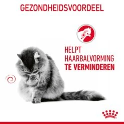 Royal Canin Hairball Care Natvoer In Gravy Kattenvoer 12x85g 19 Royal Canin Hairball Care Natvoer In Gravy Kattenvoer 12x85g -Royal Honden Aanbiedingen Winkel Royal Canin Hairball Care Gravy Kat NL 08