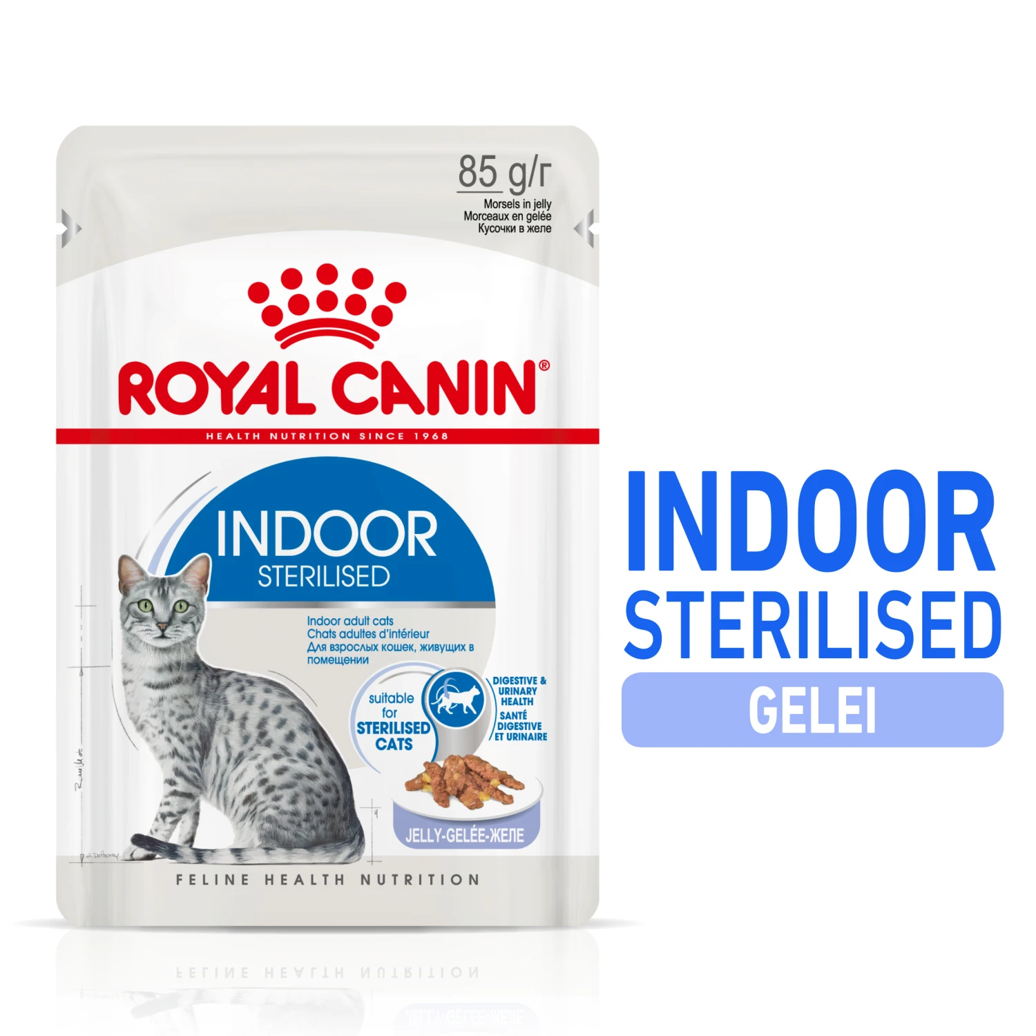 Royal Canin Indoor Sterilised In Jelly Kattenvoer 12x85g 2 Royal Canin Indoor Sterilised In Jelly Kattenvoer 12x85g - Afbeelding 2