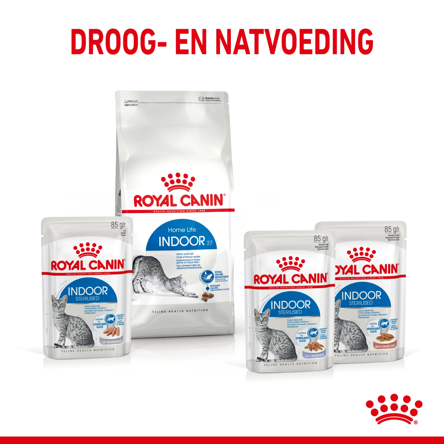 Royal Canin Indoor Sterilised In Jelly Kattenvoer 12x85g 6 Royal Canin Indoor Sterilised In Jelly Kattenvoer 12x85g - Afbeelding 6