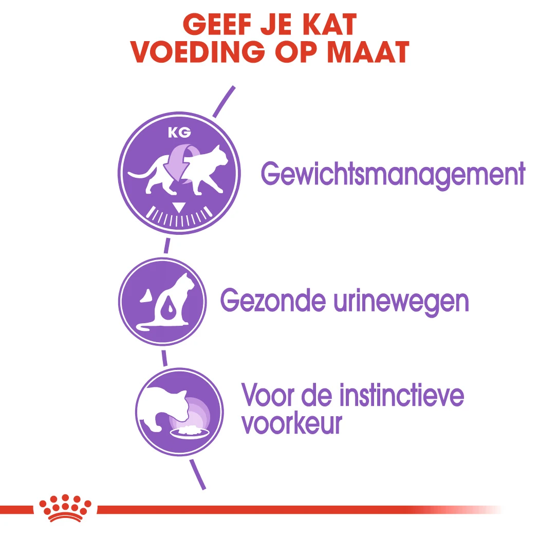 Royal Canin Sterilised In Jelly Kattenvoer 12x85g 3 Royal Canin Sterilised In Jelly Kattenvoer 12x85g - Afbeelding 3